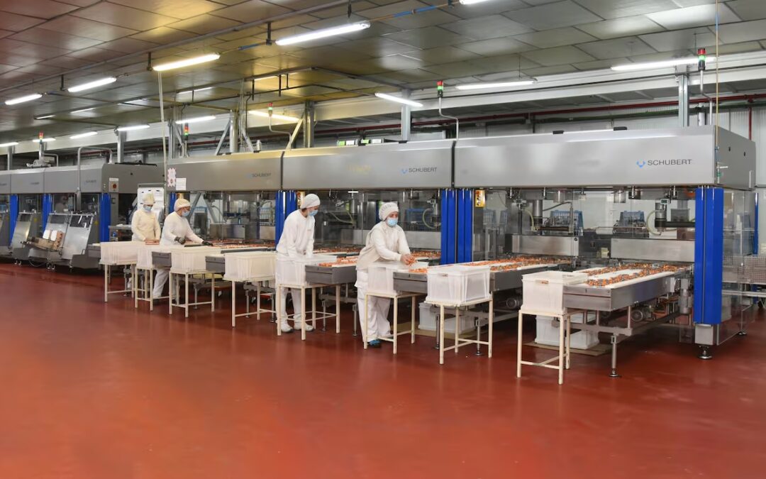 Chocolates Trapa (Palencia): monitorización de consumos energéticos